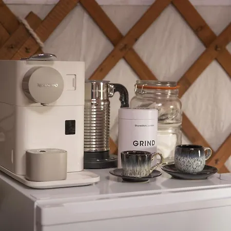 Oystercatcher Askrigg