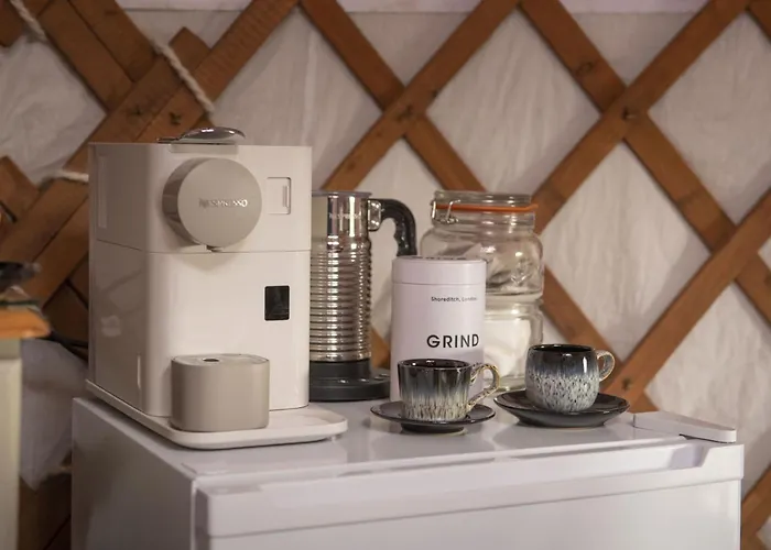 Oystercatcher Askrigg